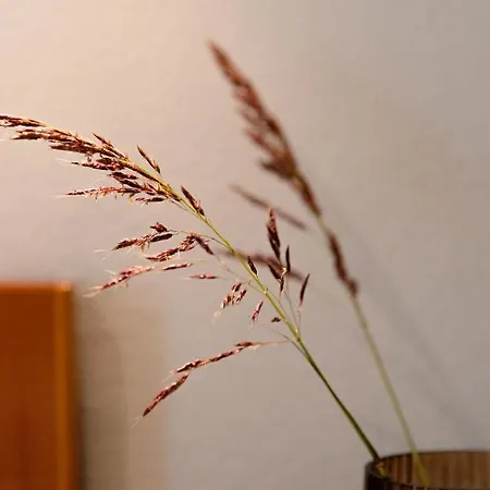 Apartamento Kamini Kávos