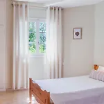Kamini Apartament